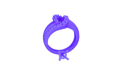 R0698