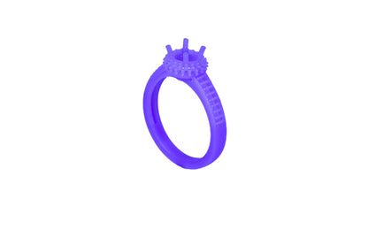 R0699