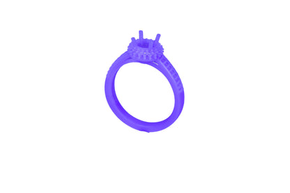 R0699