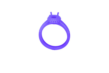 R0699