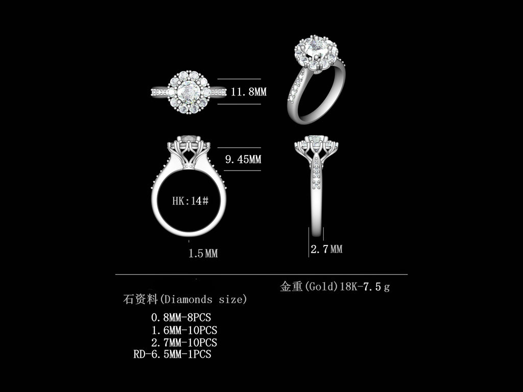 D1.0CT-R0034