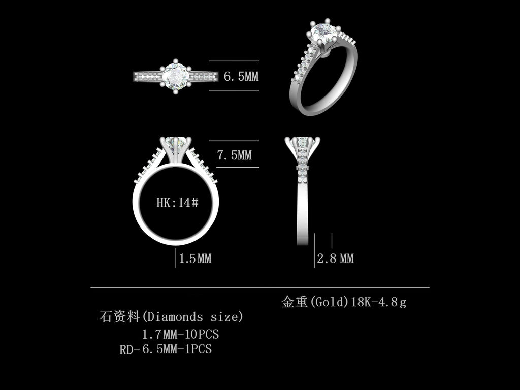 D1.0CT-R0051