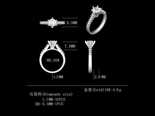 D1.0CT-R0051