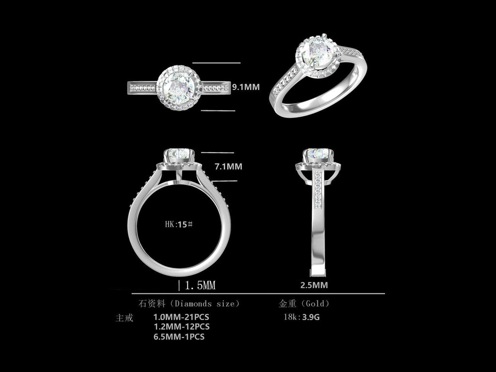 D1.0CT-R0208