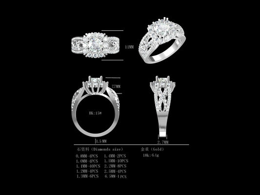 D1.0CT-R0210