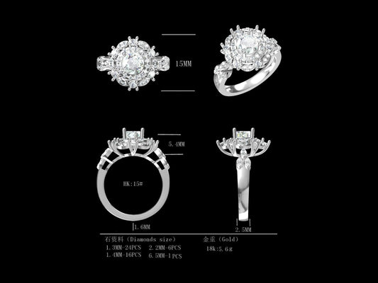 D1.0CT-R0272